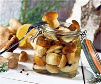 24.����� �����������