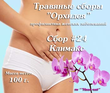 �������� ���� "�������".�24 �������. 