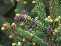 19.�����,������